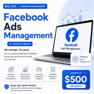 Facebook Ads Management (Monthly)