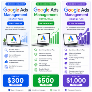 Google Ads Management (Monthly)